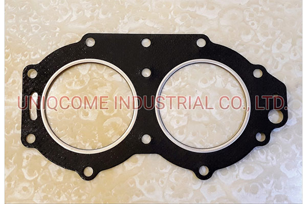 • DIAPHRAGM/GASKET